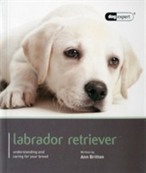  Labrador - Dog Expert