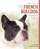  French Bulldog Best of Breed