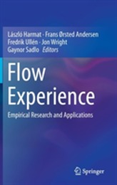  Flow Experience
