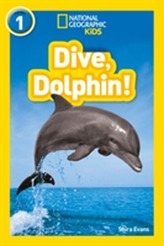  Dive, Dolphin!