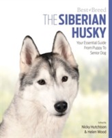  Siberian Husky Best of Breed