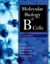  Molecular Biology of B Cells