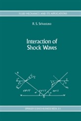  Interaction of Shock Waves
