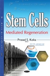  Stem Cells-Mediated Regeneration