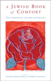 A Jewish Book of Comfort