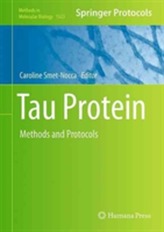 Tau Protein