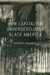  How Capitalism Underdeveloped Black America