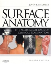  Surface Anatomy