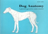  Dog Anatomy