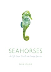  Seahorses