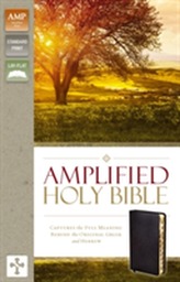  Amplified Holy Bible, Bonded Leather, Black, Indexed
