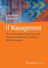  IT Management
