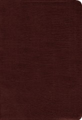  Amplified Holy Bible, Bonded Leather, Burgundy