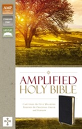  Amplified Holy Bible, Bonded Leather, Black