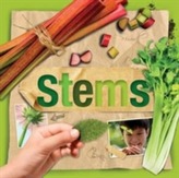  Stems