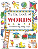  My Big Book of Words