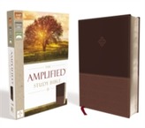 The Amplified Study Bible, Leathersoft, Brown