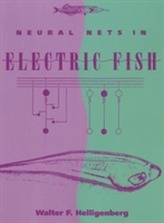  Neural Nets in Electric Fish