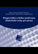 Diagnostika a léčba syndromu diabetické nohy pro praxi (CD-ROM)