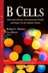  B Cells