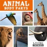  Animal Body Parts