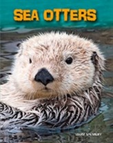  Sea Otters