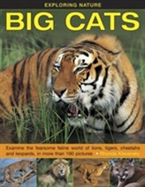  Exploring Nature: Big Cats
