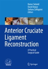  Anterior Cruciate Ligament Reconstruction