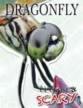  Up Close & Scary Dragonfly