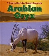  Arabian Oryx