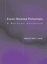  Event-Related Potentials