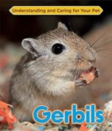  Gerbils