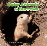 Baby Animals in Burrows