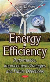  Energy Efficiency