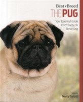  Pug