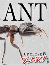  Up Close & Scary Ant