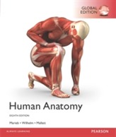  Human Anatomy, Global Edition