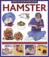  How to Look After Your Hamster