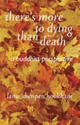  There's More to Dying Than Death: A Buddhist Perspective