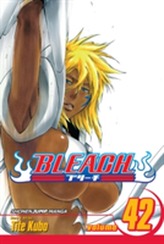  Bleach, Vol. 42