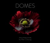  Domes