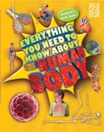 Everything You Need To Know About The Human Body  Everything You Need To Know About The Human Body