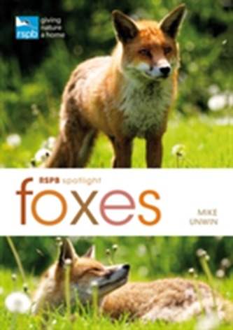 RSPB Spotlight: Foxes  RSPB Spotlight: Foxes