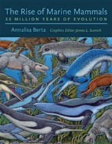 The Rise of Marine Mammals
