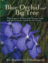  Blue Orchid and Big Tree