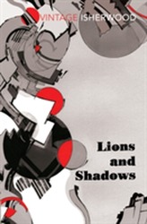 Lions and Shadows