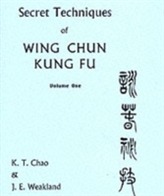  Secret Techniques Of Wing Chun Kung Fu Volume 1