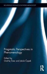  Pragmatic Perspectives in Phenomenology