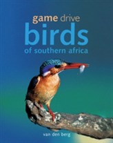  Game Drive Birds Of Southern Africa