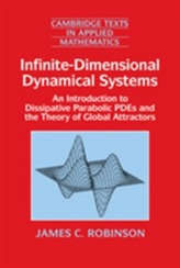  Infinite-Dimensional Dynamical Systems